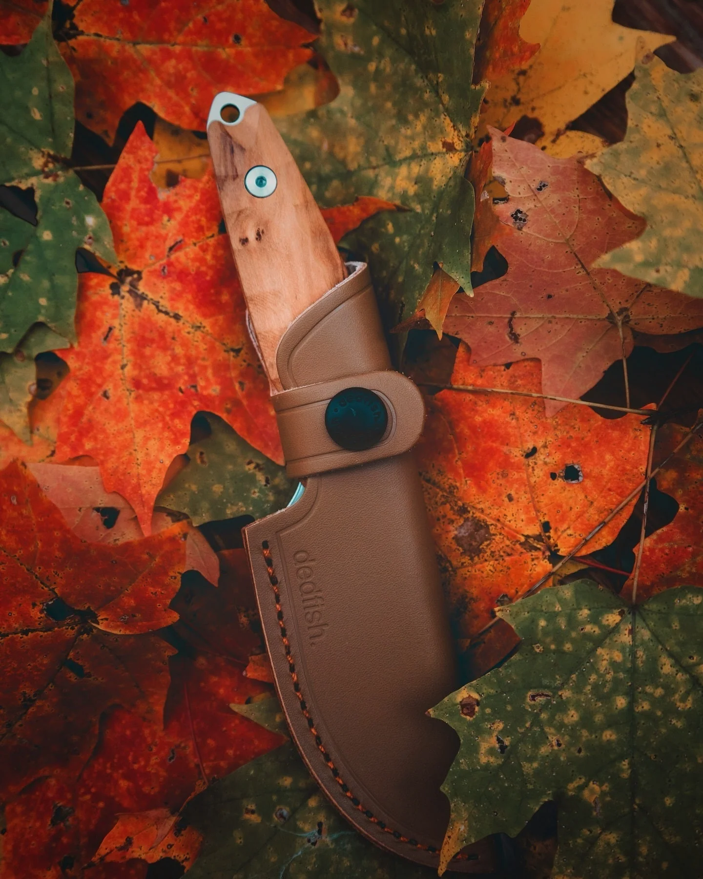Dedfish Co. McCrea Fixed Blade Knife - Image 15