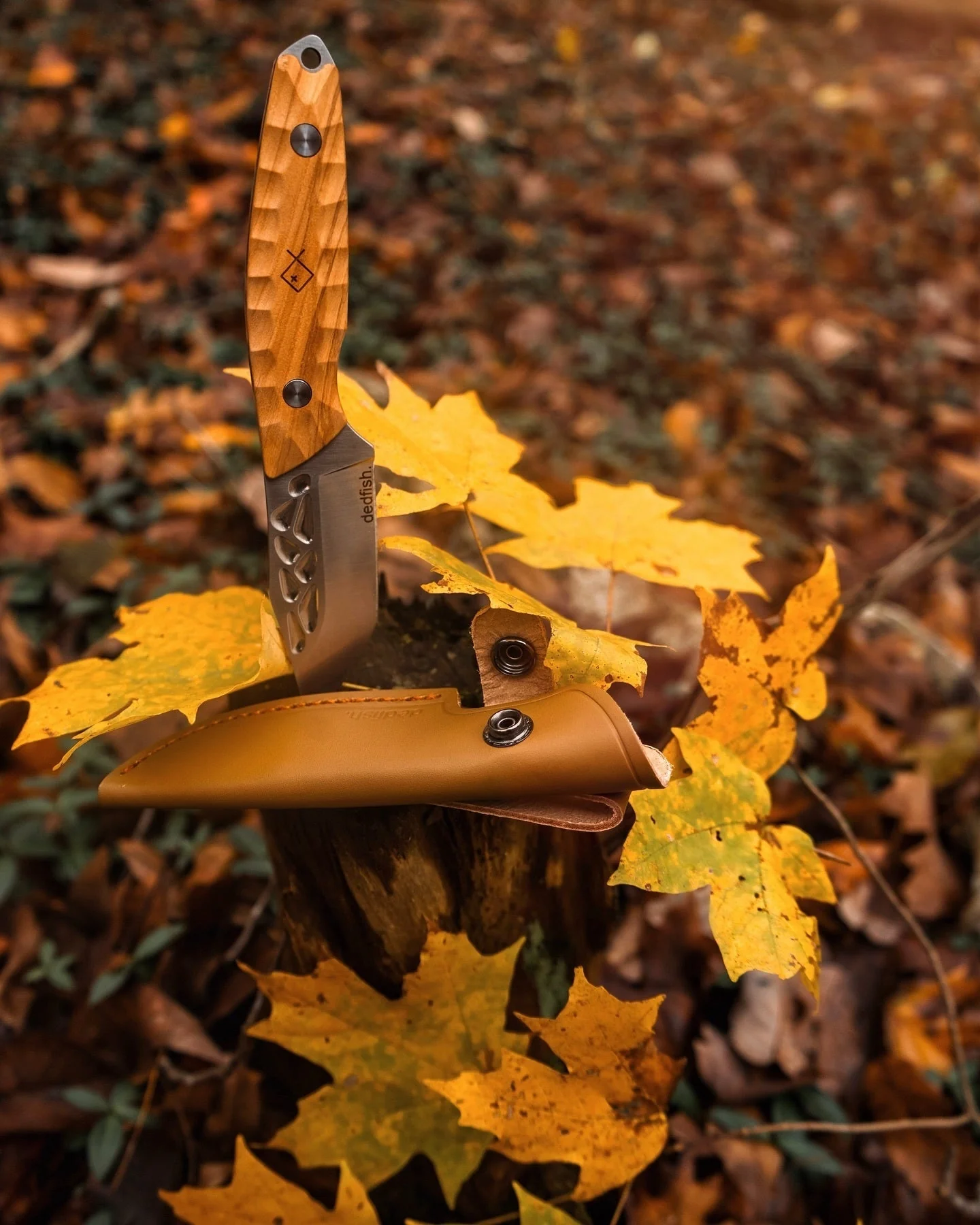 Dedfish Co. McCrea Fixed Blade Knife - Image 16